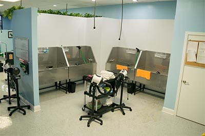 A room with many sinks and a chair